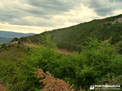 Vespertina - Senderismo Sierra del Rincón; rutas x madrid romanico segoviano salidas semana santa